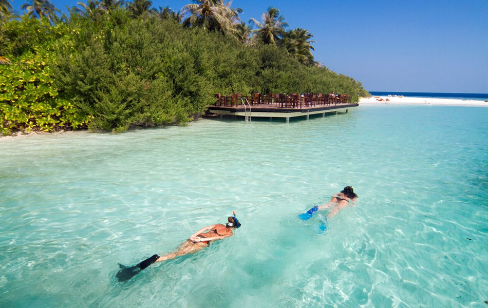 Embudu Village Resort Maldives - Snorkelling
