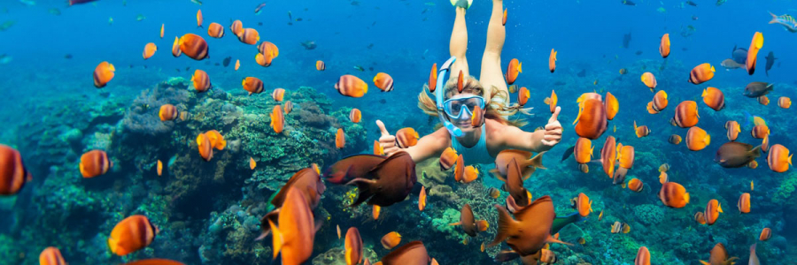 Maldives Diving Experience