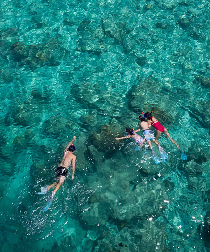 Anantara Dhigu Maldives Resort - Snorkelling