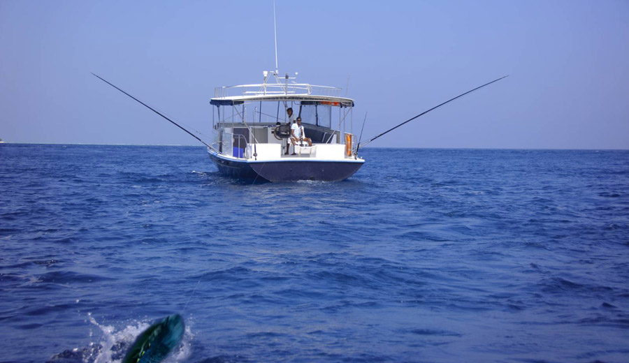 Anantara Veli Maldives Resort - Fishing Expeditions