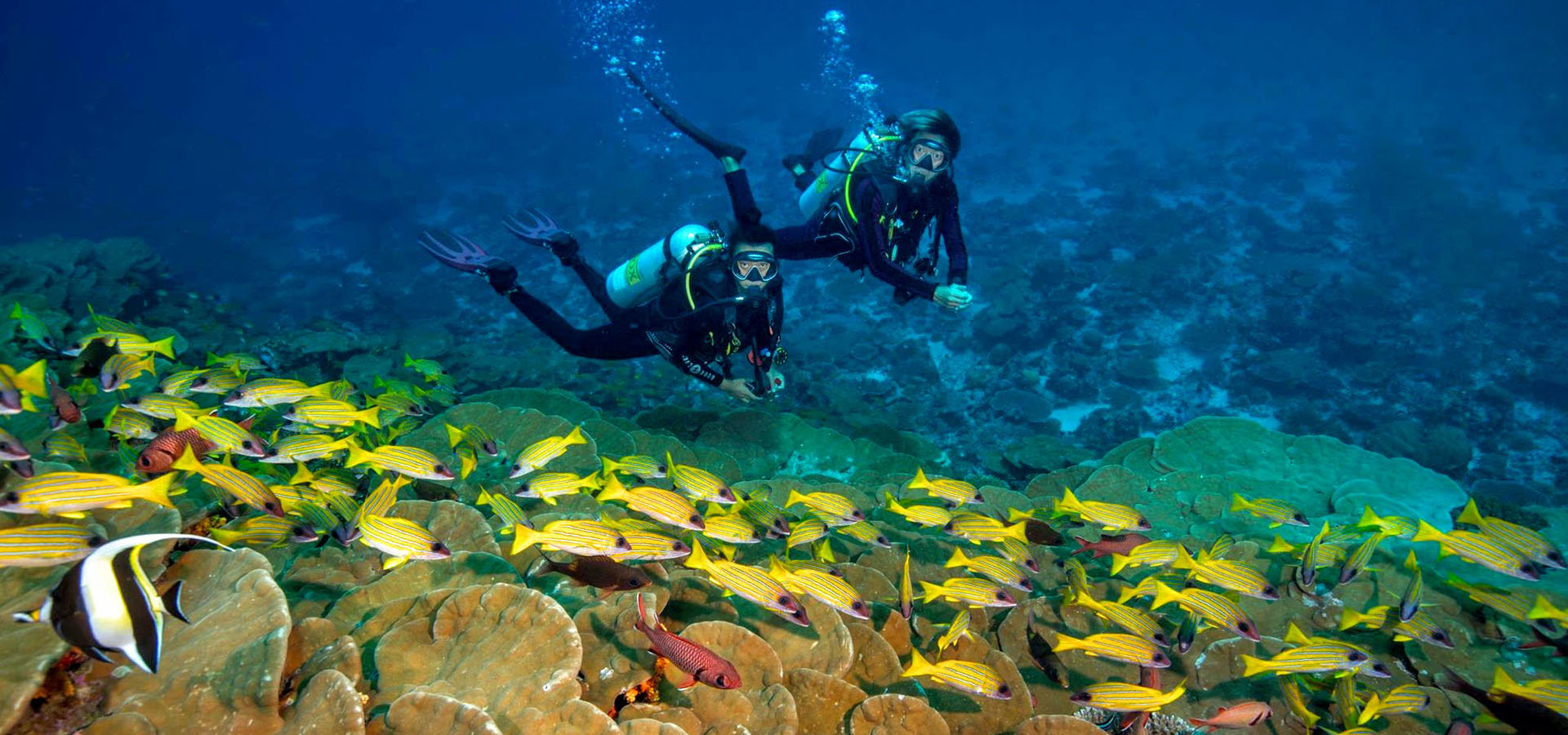 Best Maldives Resorts Diving Activity and Water Sports, Scuba Diving