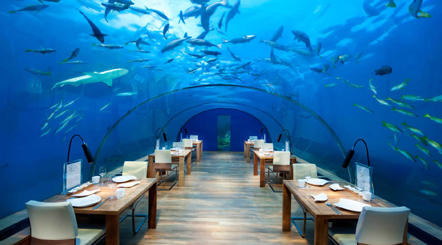 Conrad Maldives Rangali Island - Ithaa Undersea Restaurant
