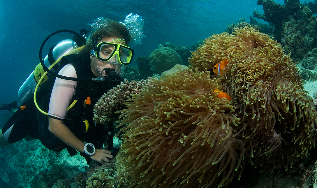 Dusit Thani Maldives - Diving