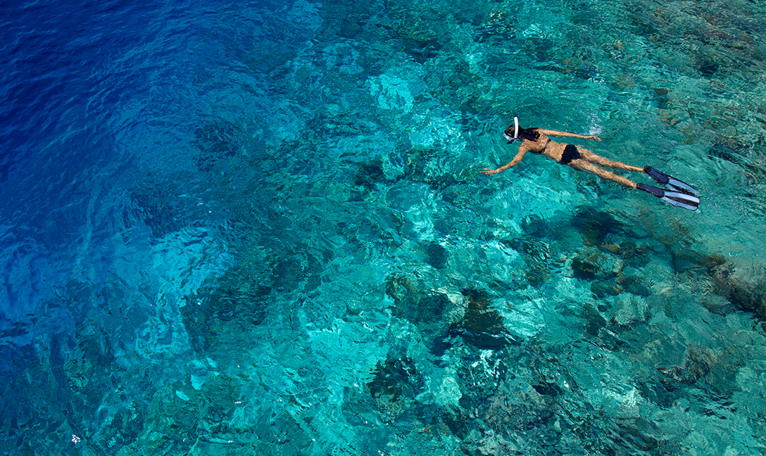 Dusit Thani Maldives - Snorkeling