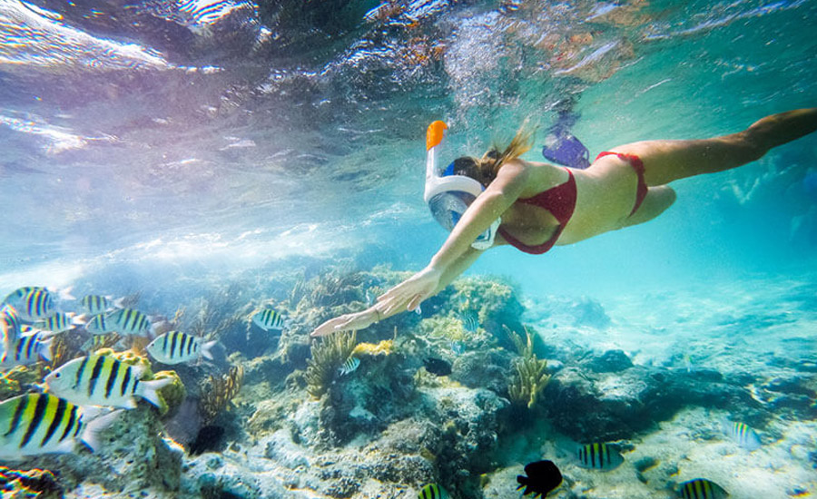 Finolhu Maldives Resort - Snorkeling