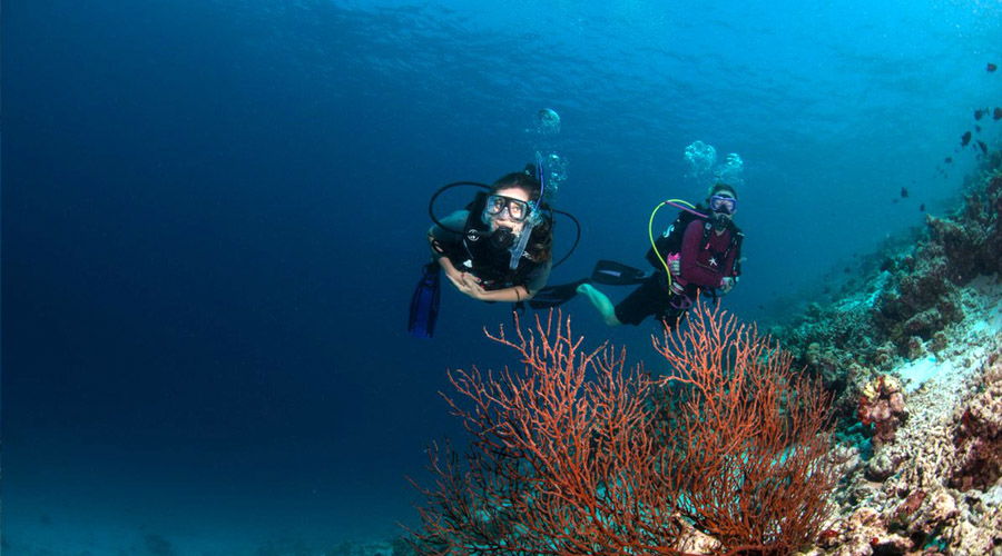 Gili Lankanfushi Maldives - Diving