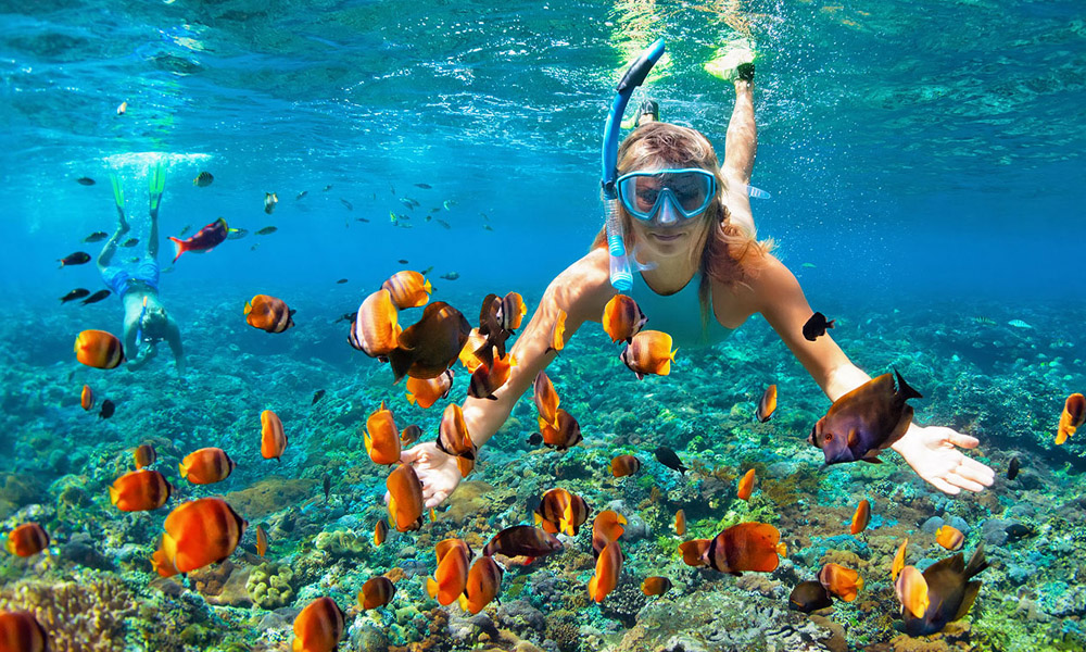 Holiday Inn Resort Kandooma - Diving