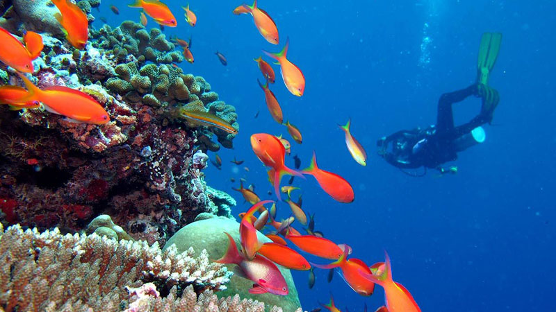Kandima Maldives - Diving
