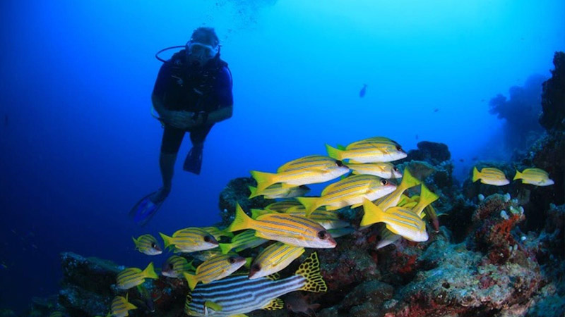 Meeru Island Resort & Spa - Scuba Diving