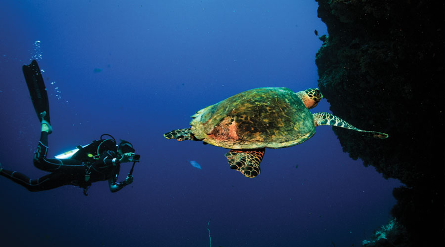 OBLU SELECT at Sangeli Maldives - Diving & Snorkeling