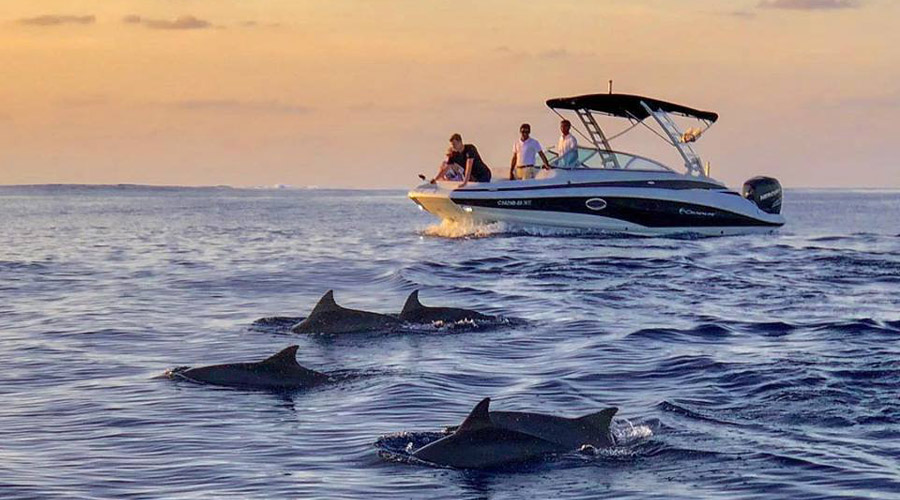 Six Senses Laamu Maldives - Sunset Dolphin Cruise