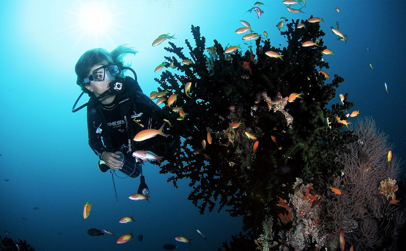 Soneva Fushi Maldives Resort - Diving