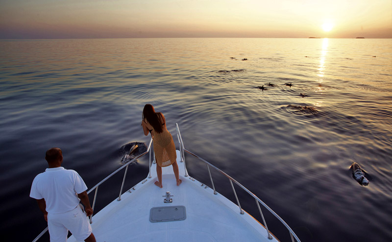 Soneva Fushi - Sunset Dolphin Cruise