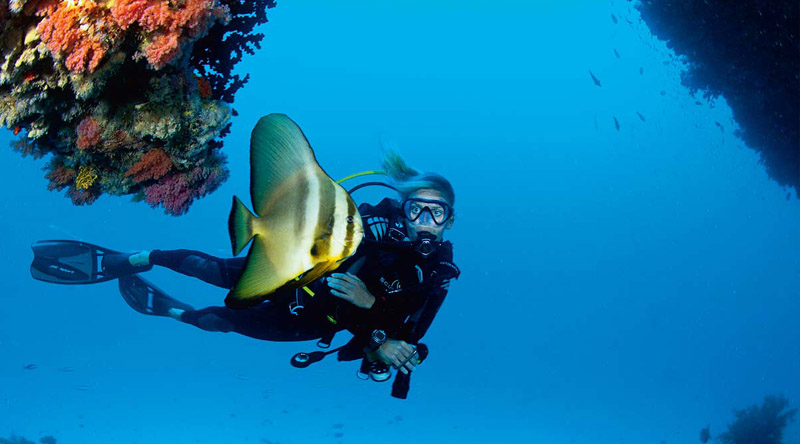 Velaa Private Island Maldives - Diving