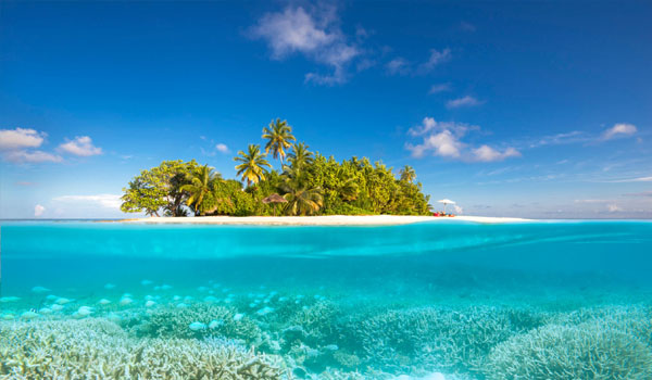 W Maldives Marriott - Snorkeling